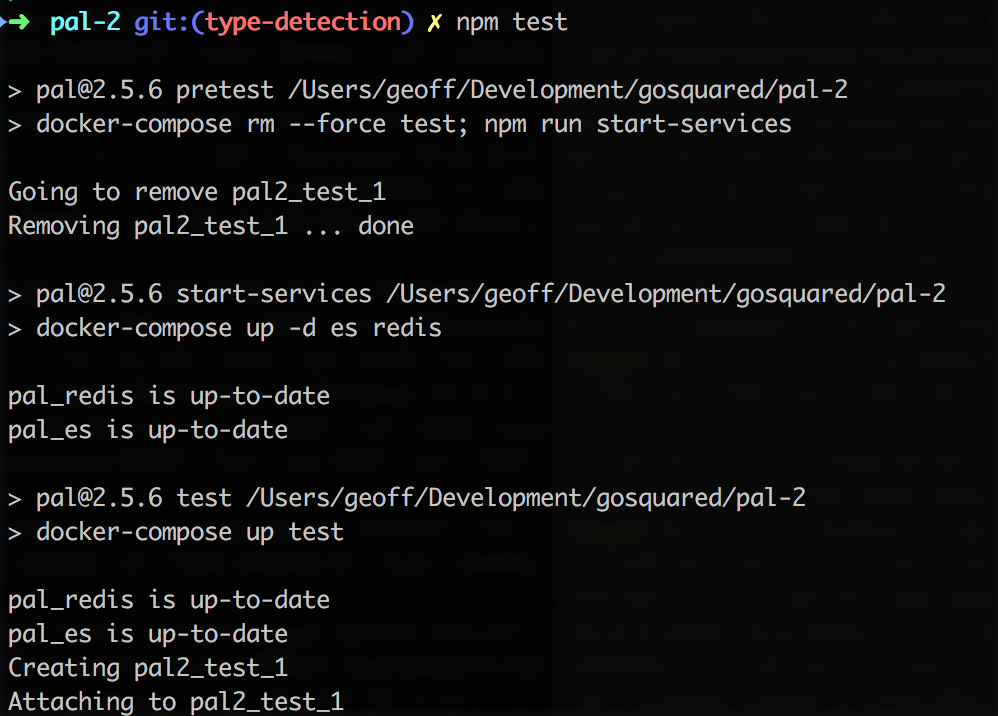 Testing with Docker - the npm test command