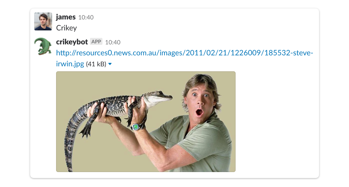 crikey slack integration 